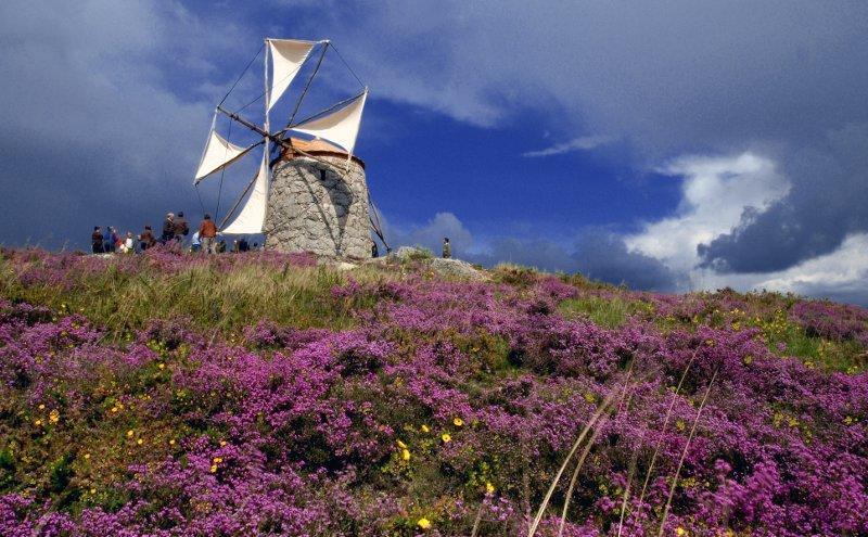 Casa De Campo Sossego Da Lata Fafe Buitenkant foto